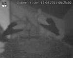 Capi_Dubne_20250413_002502.jpg