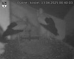 Capi_Dubne_20250413_004003.jpg