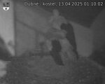 Capi_Dubne_20250413_011002.jpg