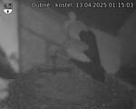 Capi_Dubne_20250413_011503.jpg