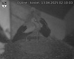 Capi_Dubne_20250413_021003.jpg