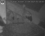 Capi_Dubne_20250413_032003.jpg