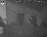 Capi_Dubne_20250413_042002.jpg