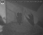 Capi_Dubne_20250413_042503.jpg