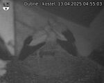 Capi_Dubne_20250413_045503.jpg