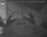 Capi_Dubne_20250413_050002.jpg