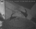 Capi_Dubne_20250413_052002.jpg