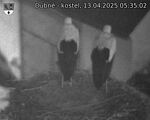 Capi_Dubne_20250413_053502.jpg