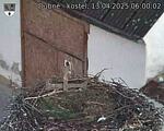 Capi_Dubne_20250413_060002.jpg