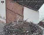 Capi_Dubne_20250413_060502.jpg