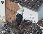 Capi_Dubne_20250413_110002.jpg