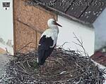 Capi_Dubne_20250413_110503.jpg