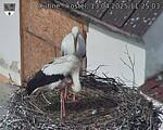 Capi_Dubne_20250413_112503.jpg