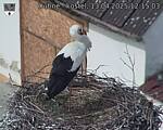 Capi_Dubne_20250413_121503.jpg