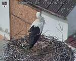 Capi_Dubne_20250413_122503.jpg