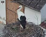 Capi_Dubne_20250413_123003.jpg