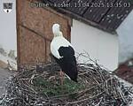 Capi_Dubne_20250413_133503.jpg