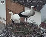 Capi_Dubne_20250413_144502.jpg
