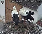 Capi_Dubne_20250413_145002.jpg