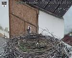 Capi_Dubne_20250413_152003.jpg