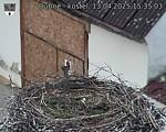 Capi_Dubne_20250413_153503.jpg