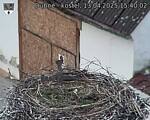 Capi_Dubne_20250413_154002.jpg