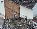 Capi_Dubne_20250413_154503.jpg