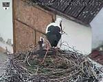 Capi_Dubne_20250413_155003.jpg