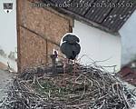 Capi_Dubne_20250413_155502.jpg