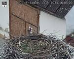 Capi_Dubne_20250413_160503.jpg