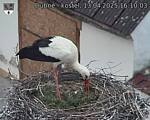 Capi_Dubne_20250413_161003.jpg