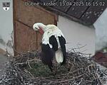 Capi_Dubne_20250413_161502.jpg