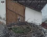 Capi_Dubne_20250413_164003.jpg