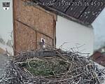 Capi_Dubne_20250413_164503.jpg