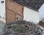 Capi_Dubne_20250413_165003.jpg