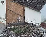 Capi_Dubne_20250413_165503.jpg