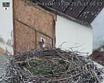 Capi_Dubne_20250413_170003.jpg