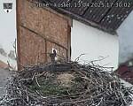 Capi_Dubne_20250413_173002.jpg