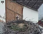 Capi_Dubne_20250413_173503.jpg