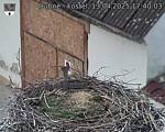 Capi_Dubne_20250413_174003.jpg