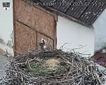 Capi_Dubne_20250413_175502.jpg