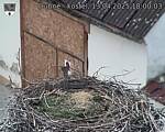 Capi_Dubne_20250413_180003.jpg