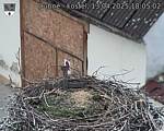 Capi_Dubne_20250413_180502.jpg
