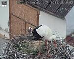 Capi_Dubne_20250413_181003.jpg