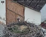 Capi_Dubne_20250413_181502.jpg