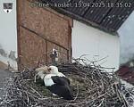 Capi_Dubne_20250413_183502.jpg