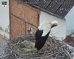 Capi_Dubne_20250413_190503.jpg