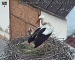 Capi_Dubne_20250413_191003.jpg