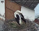 Capi_Dubne_20250413_192003.jpg