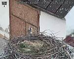 Capi_Dubne_20250413_193003.jpg